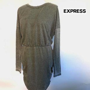 NEW EXPRESS Long Sleeve Ruched Sides Dress